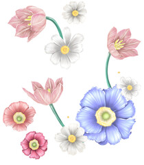 Floral arrangement. Isolated PNG.