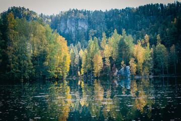 lake in the forest