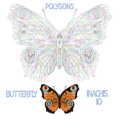 Butterfly  Inachis io  beautiful meadow and forest insect outline multicolored and natural polygons   vector illustration editable hand draw