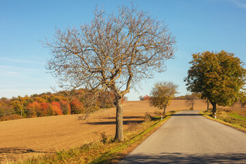 Country road in beautiful natural surroundings.Autumn season.