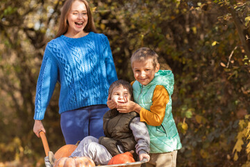 Mother have fun time with kids, use garden wheelbarrow