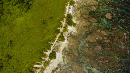 Tropical island, sea landscape. Stone beach on the island, aerial view 