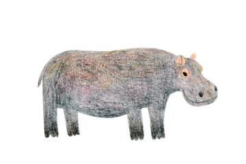 Hippopotamus, hand drawn illustration painted with watercolor and colored pencil. African, Asian, tropical, jungle or zoo grey hippo wild animal, abstract character, isolated on white background