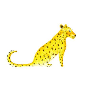 Hand drawn leopard illustration drawn with watercolor and colored pencil. African, asian, tropical, jungle cheetah, zoo cat family, wild animal, abstract character in childish style