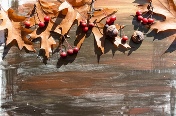 Fototapeta na wymiar autumn leaves, berries, acorns