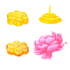 Hand drawn watercolor honey comb on white background. Scrapbook design, typography poster, label, banner.