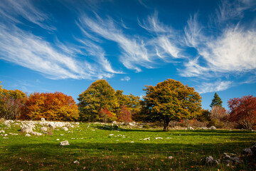 Lans En Vercors 10 2022 hiking on the heights of Lans en Vercors, discovering the vertigo of the peaks, magnificent blue sky and autumn colors
