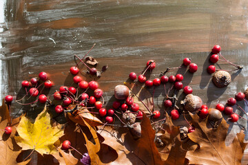 Berries and leaves on a wooden background
