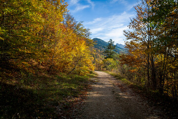 Fototapeta premium Lans En Vercors 10 2022 hiking on the heights of Lans en Vercors, discovering the vertigo of the peaks, magnificent blue sky and autumn colors