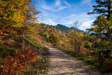 Lans En Vercors 10 2022 hiking on the heights of Lans en Vercors, discovering the vertigo of the...