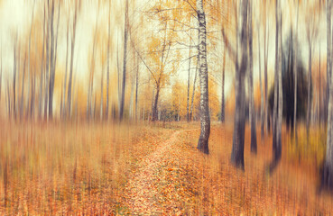 Autumn landscape with footpath in autumnal forest and blurred trees.