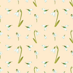 Hand drawn watercolor snowdrop flowers and leaves seamless pattern on cream background. Can be used for textile, Scrapbook design, banner, greeting card, invitation.