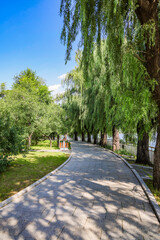 Natural landscape of Nanhu Park in Changchun City, Jilin province