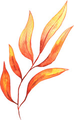 Watercolor Autumn Leaf