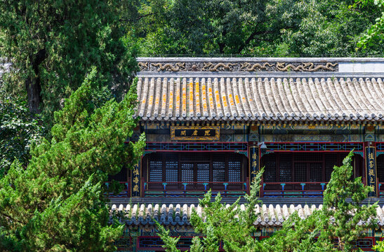 Tanzhe Temple Scenic Spot, Mentougou District, Beijing