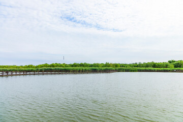 Wooden trestle in the lake of Xiqing Country Park in Tianjin