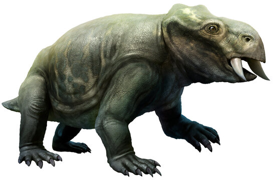 Placerias from the Triassic era 3D illustration	