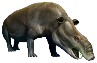 Fototapeta premium Moeritherium from the Eocene epoch 3D illustration 
