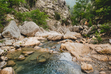 Naklejka na ściany i meble Trees and stones in river in Goynuk Canyon. Mountain slopes in Beydaglari Coastal National Park. Turkey.