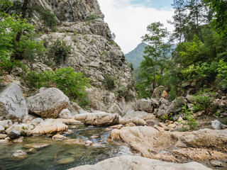 Fototapeta na wymiar Trees and stones in river in Goynuk Canyon. Mountain slopes in Beydaglari Coastal National Park. Turkey.