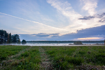 September fog in the field