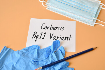 Protection masks and blue surgical gloves with white paper and text Cerberus Bq.1.1 Variant....