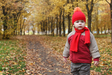 Children are walking in nature. Twilight kids are walking around the park. Brother with sister in autumn city park in leaf fall.