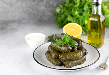 Dolma or sarma, sauce, lemon, parsley on a gray background. Copy space. Traditional Caucasian, Turkish, Armenian and Greek cuisine