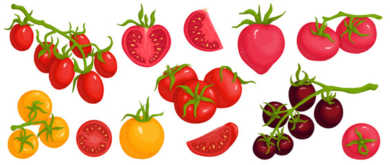 A set of different varieties of ripe tomato and pieces of juicy vegetable. Vector graphics.