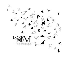 A flock of flying birds. Free birds. Vector illustration