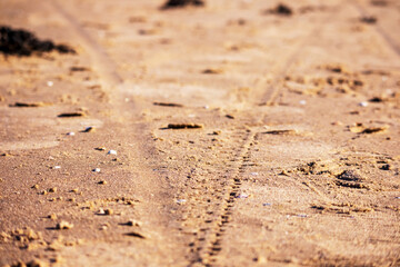 Light brown beach sand with a tire imprint 