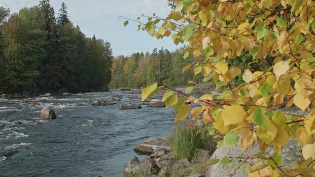 Siikakoski rapids in Kotka, Finland.