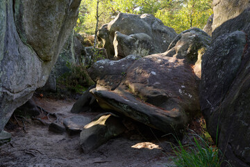 Boulder and sandstone rock in the Apremont rock. Fontainebleau forest
