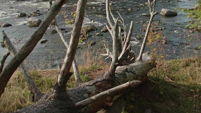 Siikakoski rapids in Kotka, Finland.