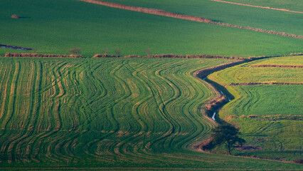 Small creek running through a rural agricultural field