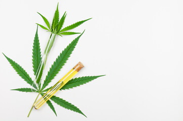 Medicinal cannabis leaves and CBD oil in test tube on white background