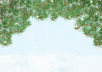 Winter snowy background with fir tree branches frame.