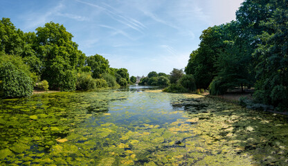 Panoramic view of St. James's Park in London where Buckingham Palace can be seen in the background.