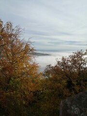 Das Kyffhäuser Denkmal im Nebel im Herbst