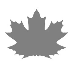 Maple Leaf. Stylized image of a plant. Texture.