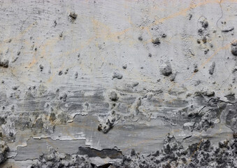 Fototapeta premium old wall texture