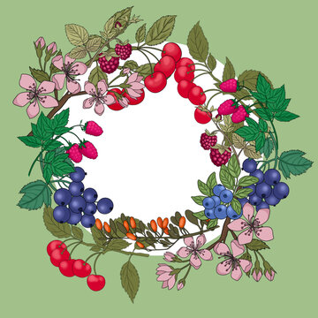 Round wreath or frame of raspberry, cranberry, blueberry, blackberry, strawberry on branches on a white background. Hand drawn illustration. For your design cookbooks, recipes, kitchen accessories