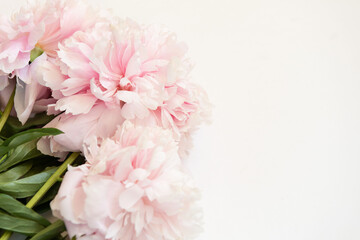 Bouquet of flowers. Pink and white peonies on white background. Beautiful flowers for valentines...