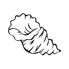 Sea shell. Marine underwater twisted shell. Undersea mollusc. Decorative element. Mediterranean culture. Cartoon vector illustration black and white. Hand drawn outline sketch