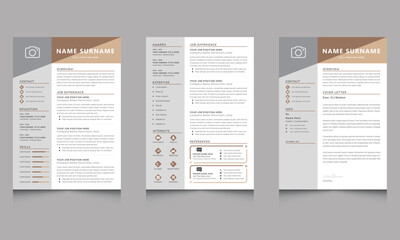 Creative Infographic Resume Template And Cover Letter CV Layout Vector Design 