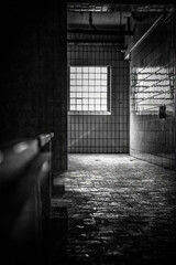 washroom tiled with tiles