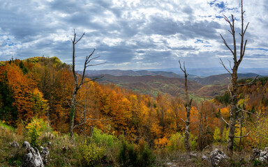 autumn landscape in the mountains