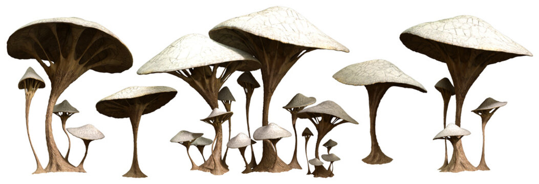 Alien white mushrooms 3D illustration	
