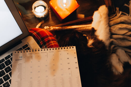 Planner page at laptop. candles decoration, sleeping cat. new year preparation concept. Planning new year. December Month dates at night eve