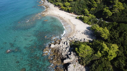 A small sandy beach in a beautiful bay surrounded by coniferous forest